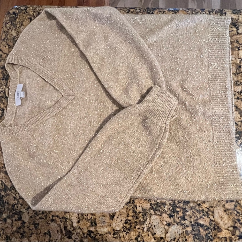 LOFT V-Neck Sweater in Sparkling Beige